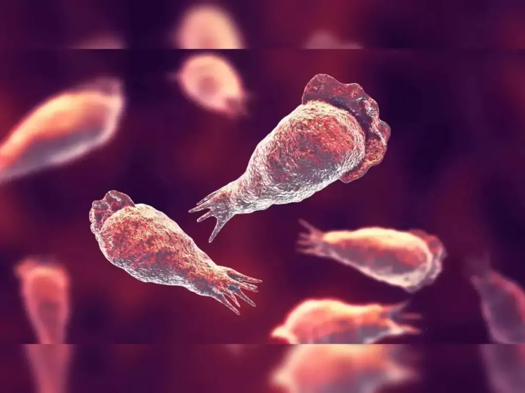 us-brain-eating-amoeba-kills-2-year-old-in-nevada-check-symptoms-key-details