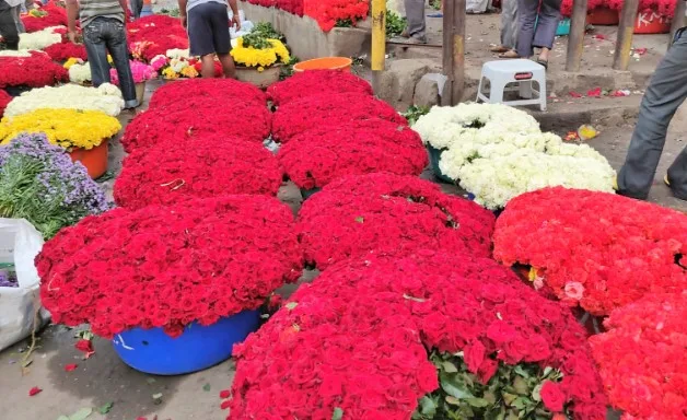flowers